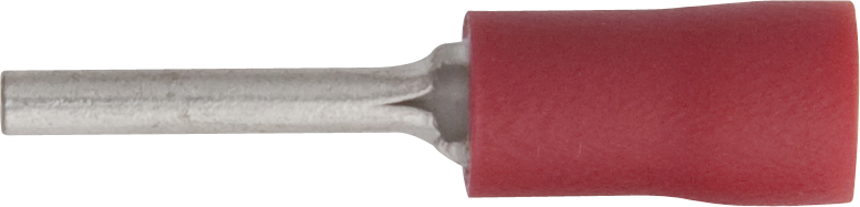 PINS